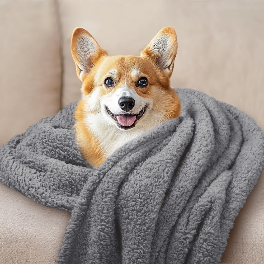 Luciphia travel-friendly blanket carried outdoors for portable warmth