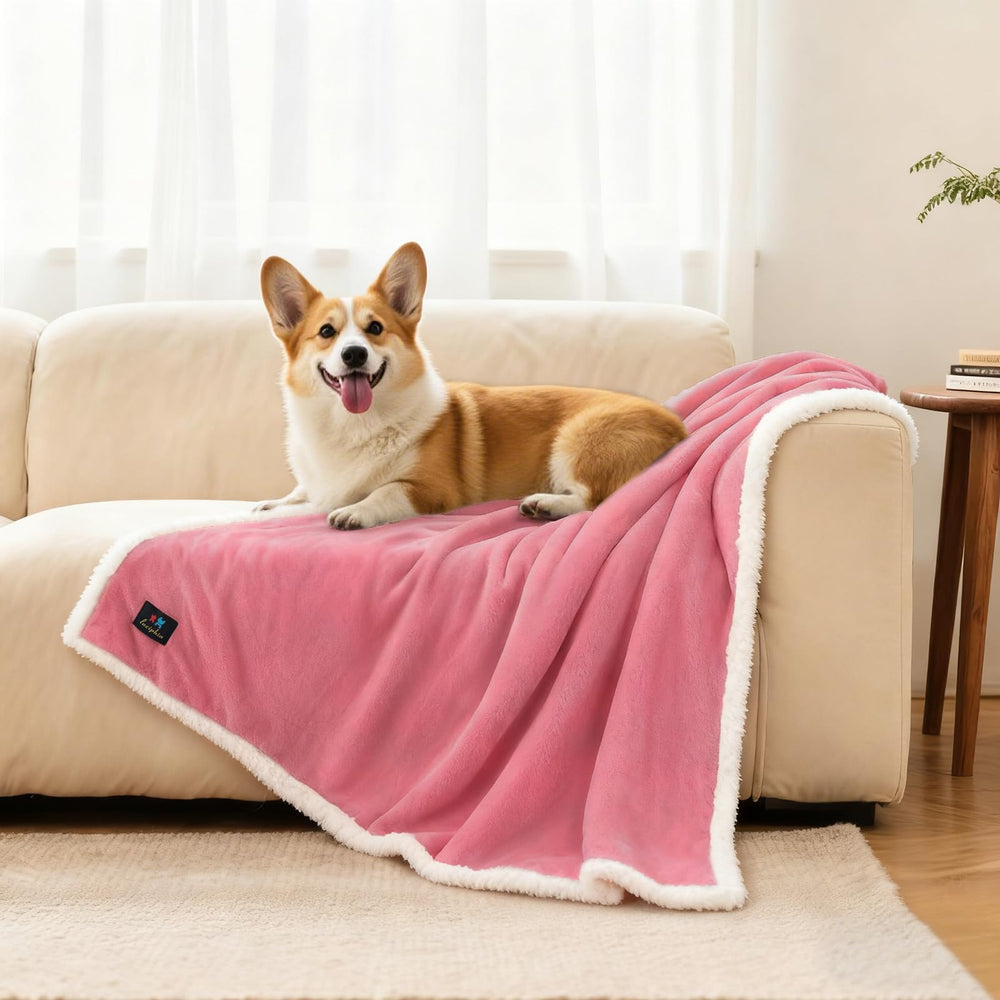 Luciphia waterproof bed blanket fits medium to large dogs and cats