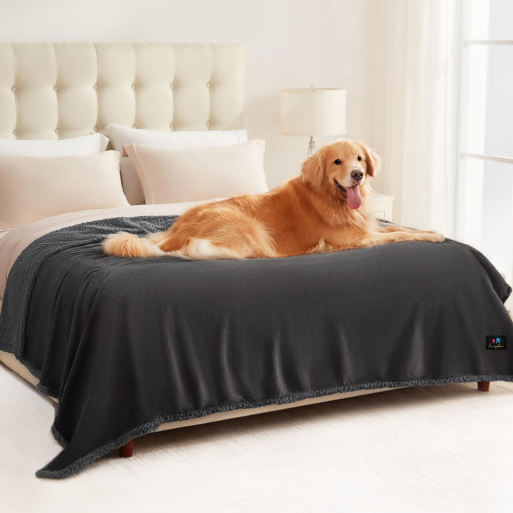 Luciphia waterproof bed blanket on couch protects furniture from spills