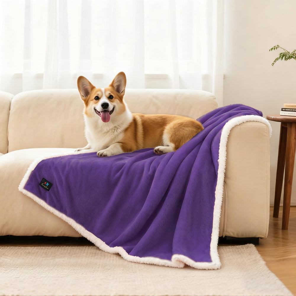 Luciphia Waterproof Bed Blanket large size on couch guarding pet fur and accidents.