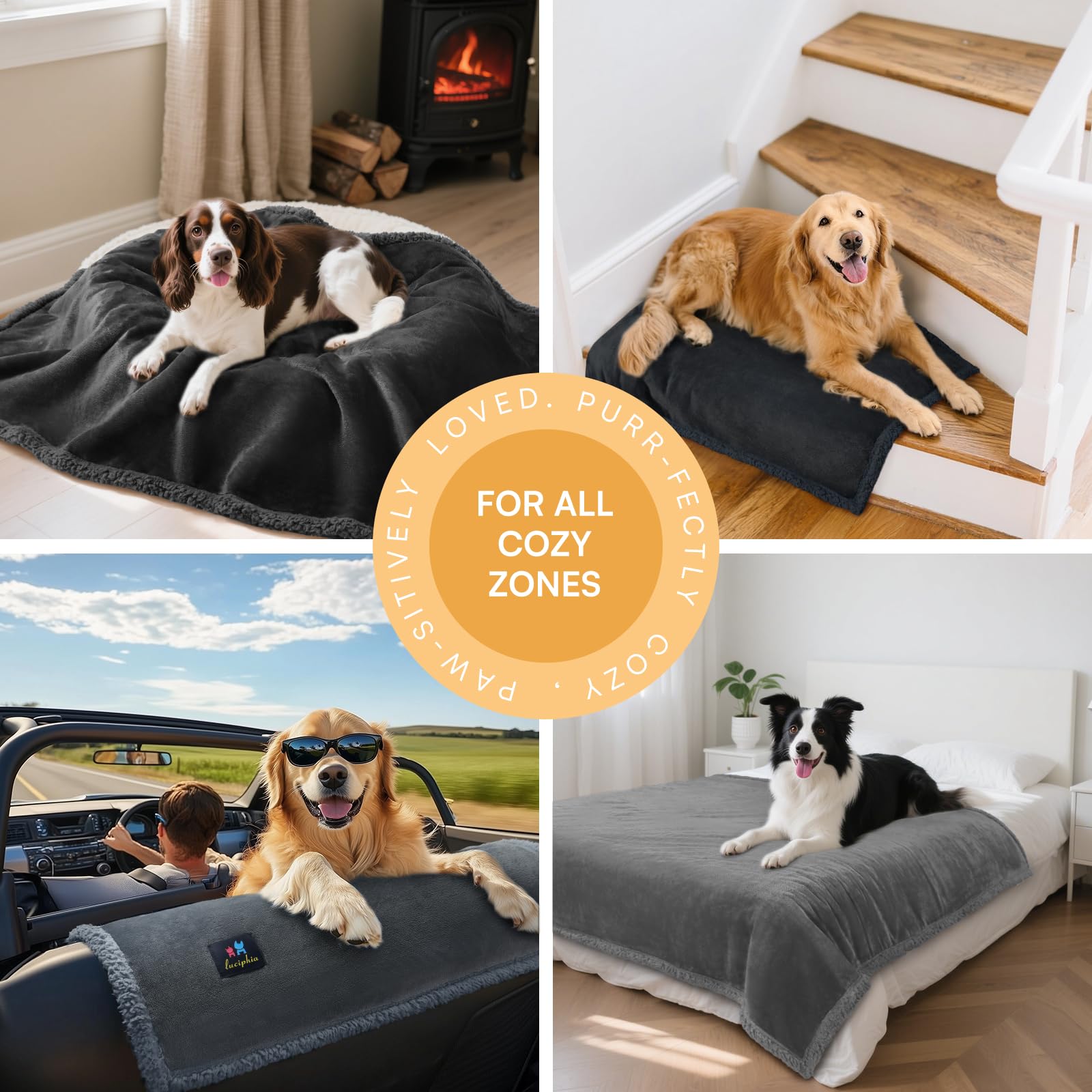 Luciphia waterproof bed blanket pet sleeping scene conveys warmth and fur containment.