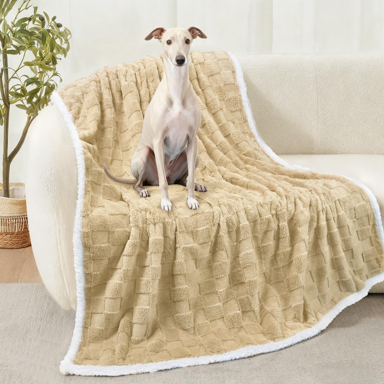 Luciphia waterproof dog blanket close-up fleece texture delivering cozy warmth for fur-friend snuggles.