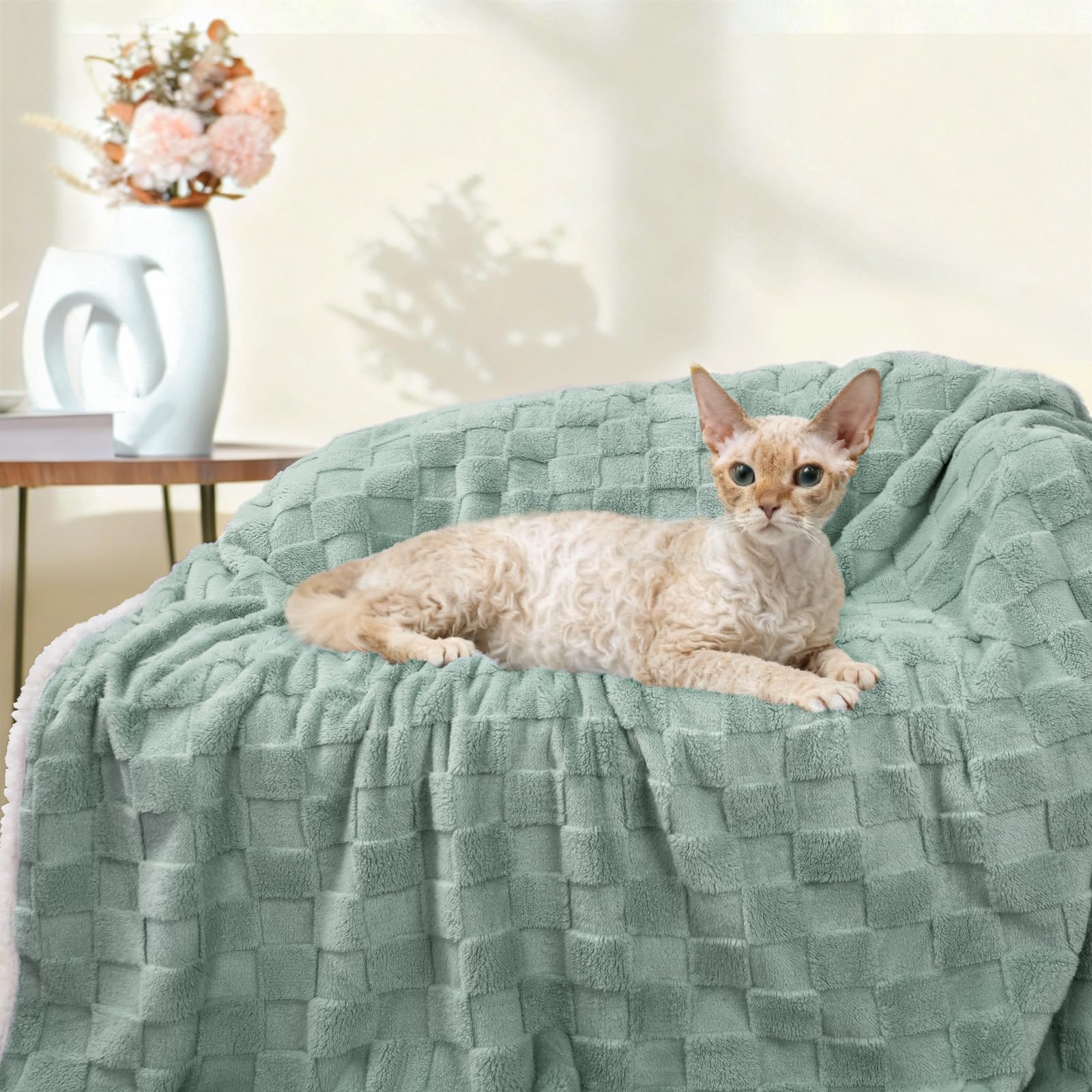 Luciphia easy-care photo showing machine-washable design for busy homes