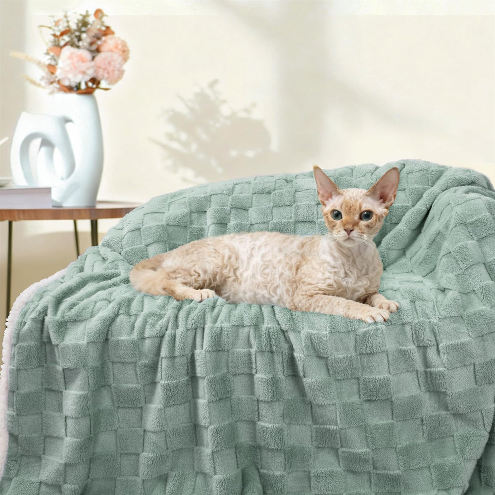 Luciphia easy-care photo showing machine-washable design for busy homes