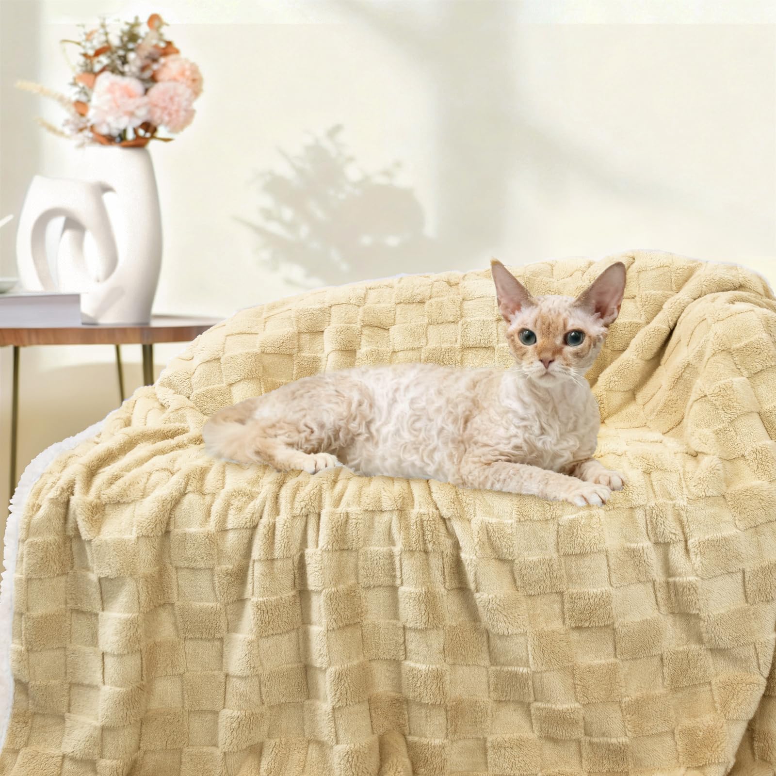 Luciphia blanket available in four colors to match decor.