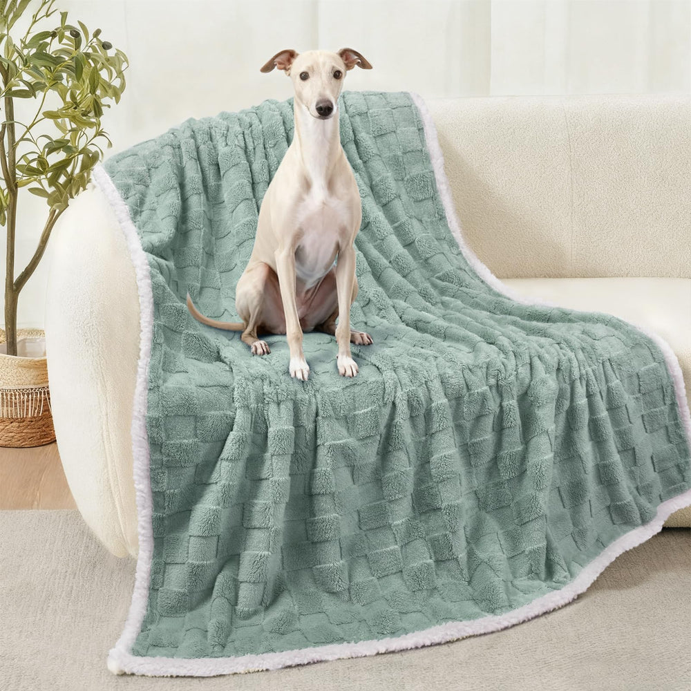 Luciphia Waterproof Dog Blanket large dogs with waterproof shield for mess-free cuddle sessions.