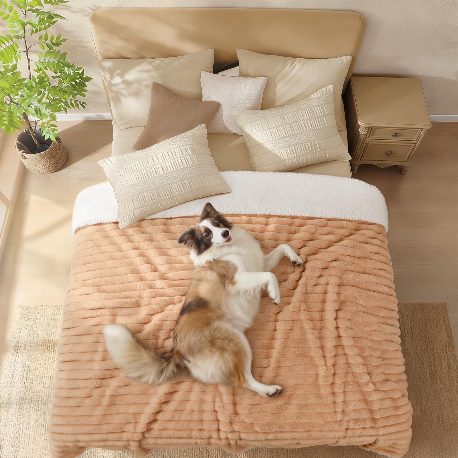 Luciphia waterproof dog blanket machine-washable surface simplifies cleaning after adventures