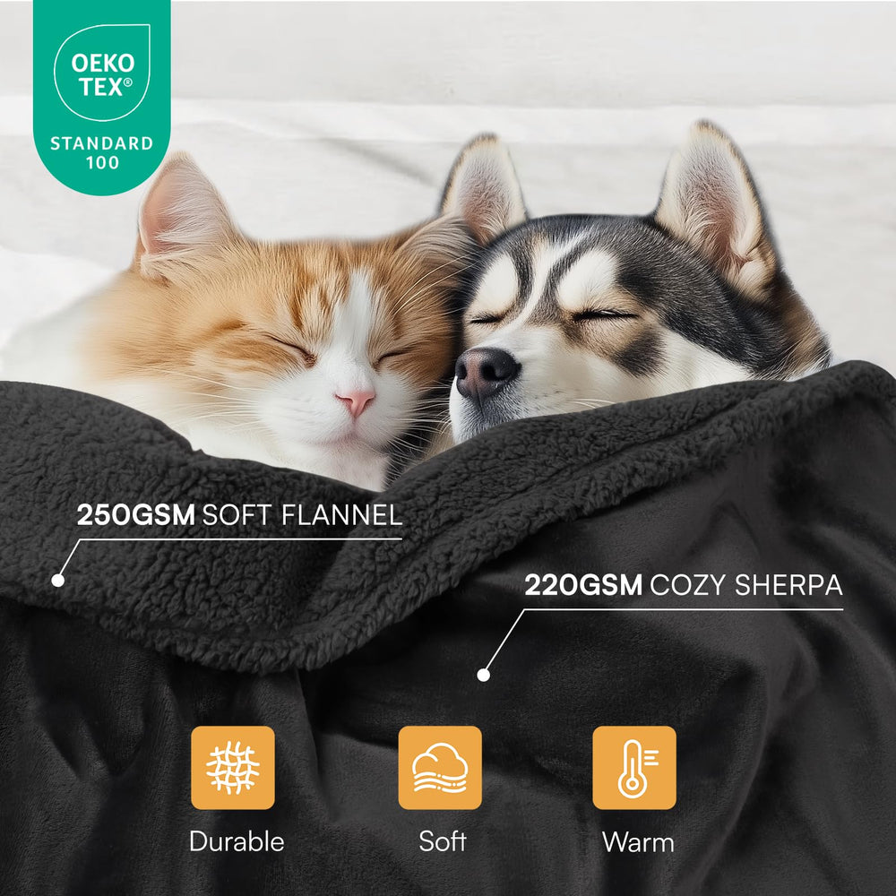 Luciphia waterproof pet blanket on car seat demonstrates portable, easy-care protection on the go