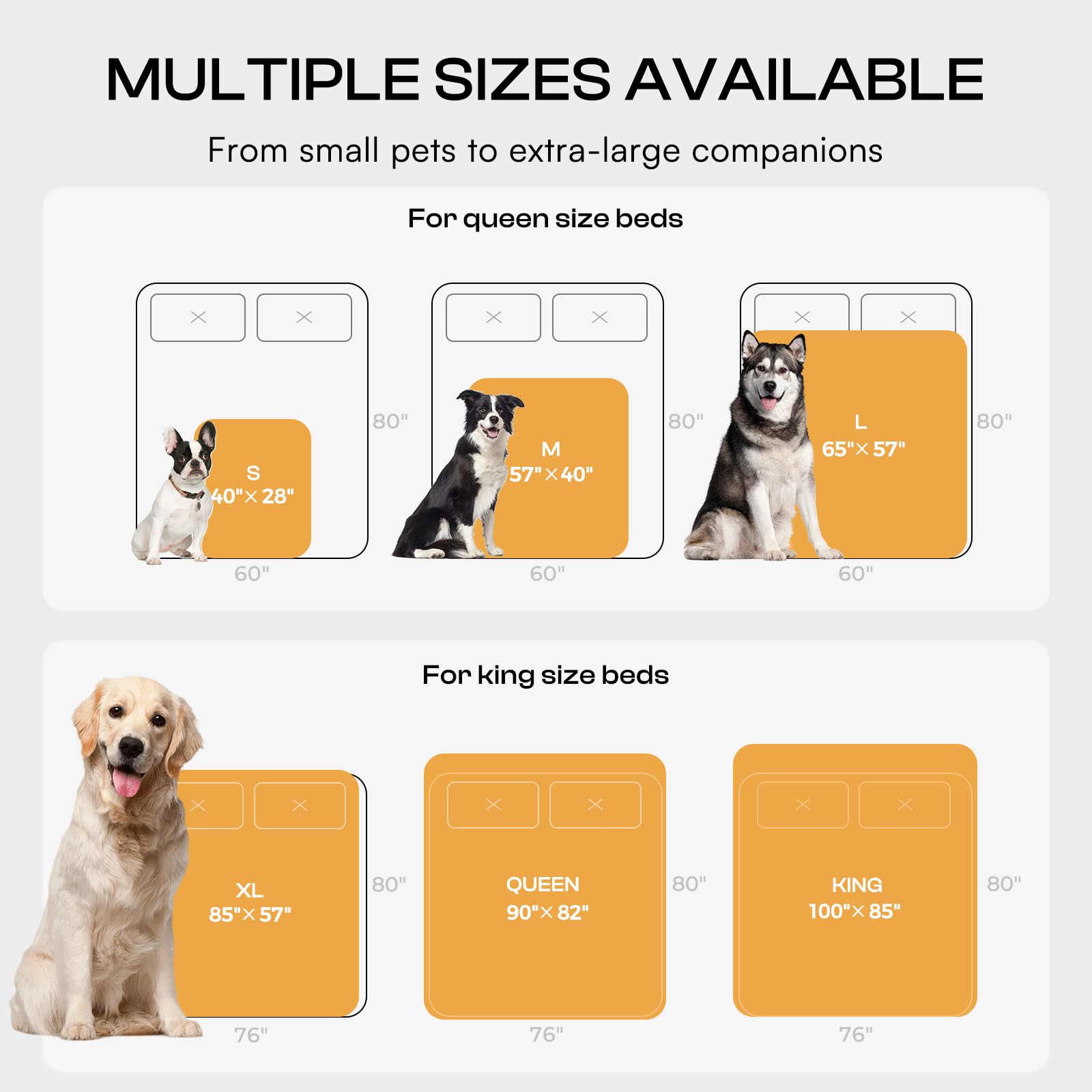 Luciphia Waterproof Pet Blanket on dog bed, versatile usage across spaces