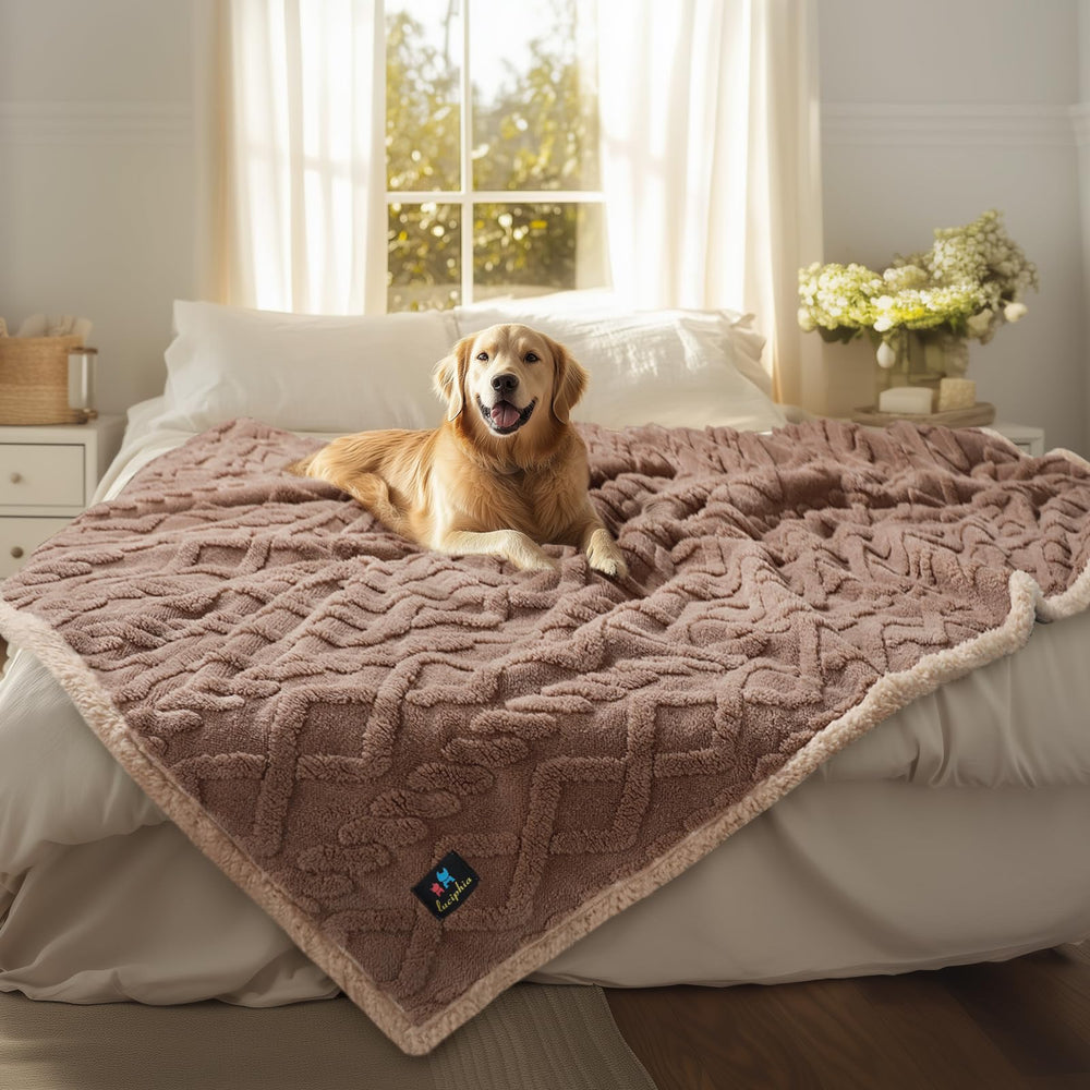 Luciphia waterproof pet blanket front view in khaki ready to protect your sofa