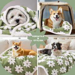 Luciphia waterproof pet blanket protects furniture from spills and shedding