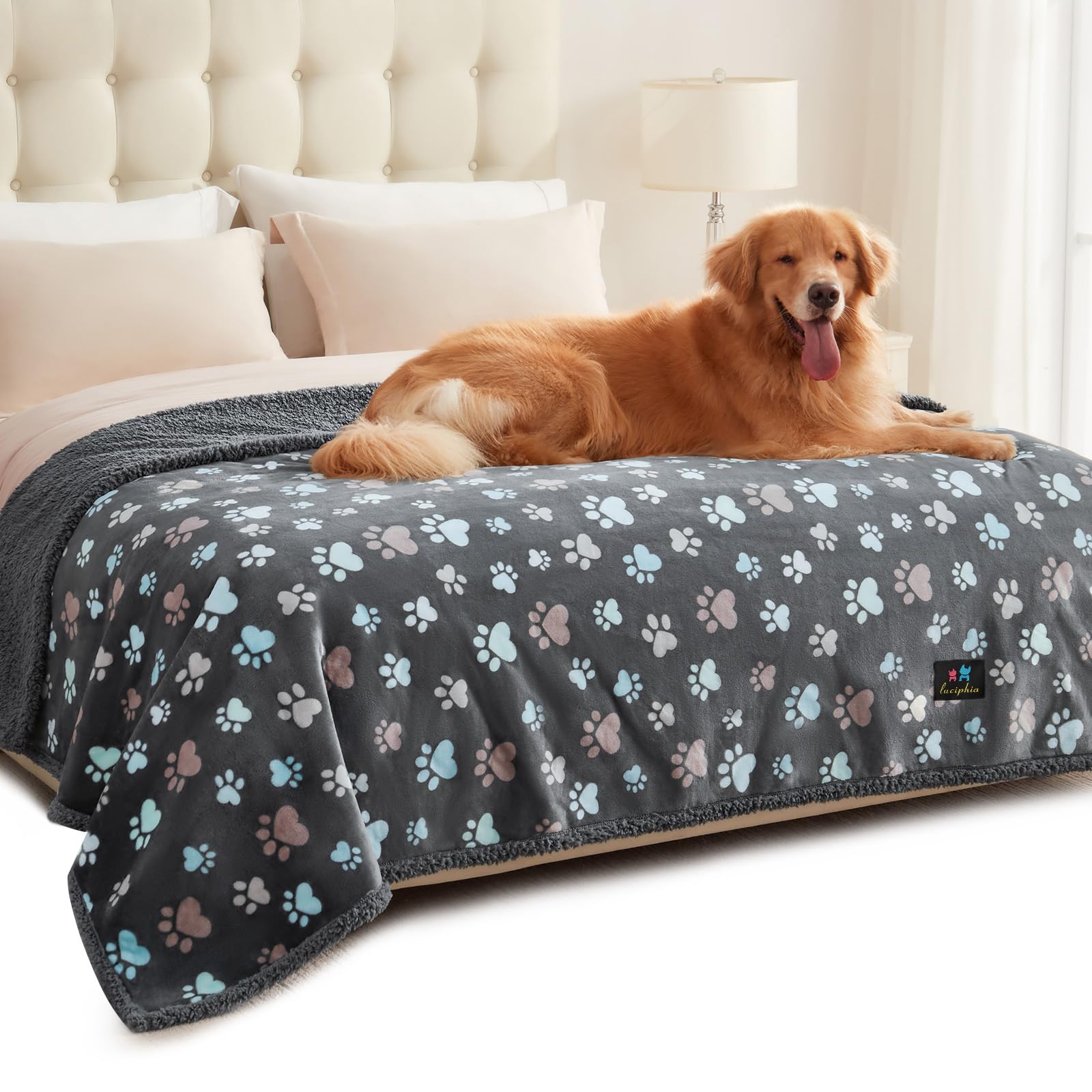 Luciphia waterproof pet blanket on couch protecting furniture from spills and fur.