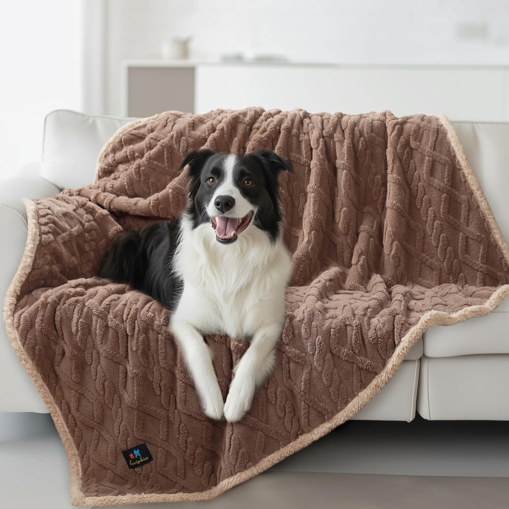 Luciphia waterproof pet blanket on sofa shows dual-layer protection and cozy fleece
