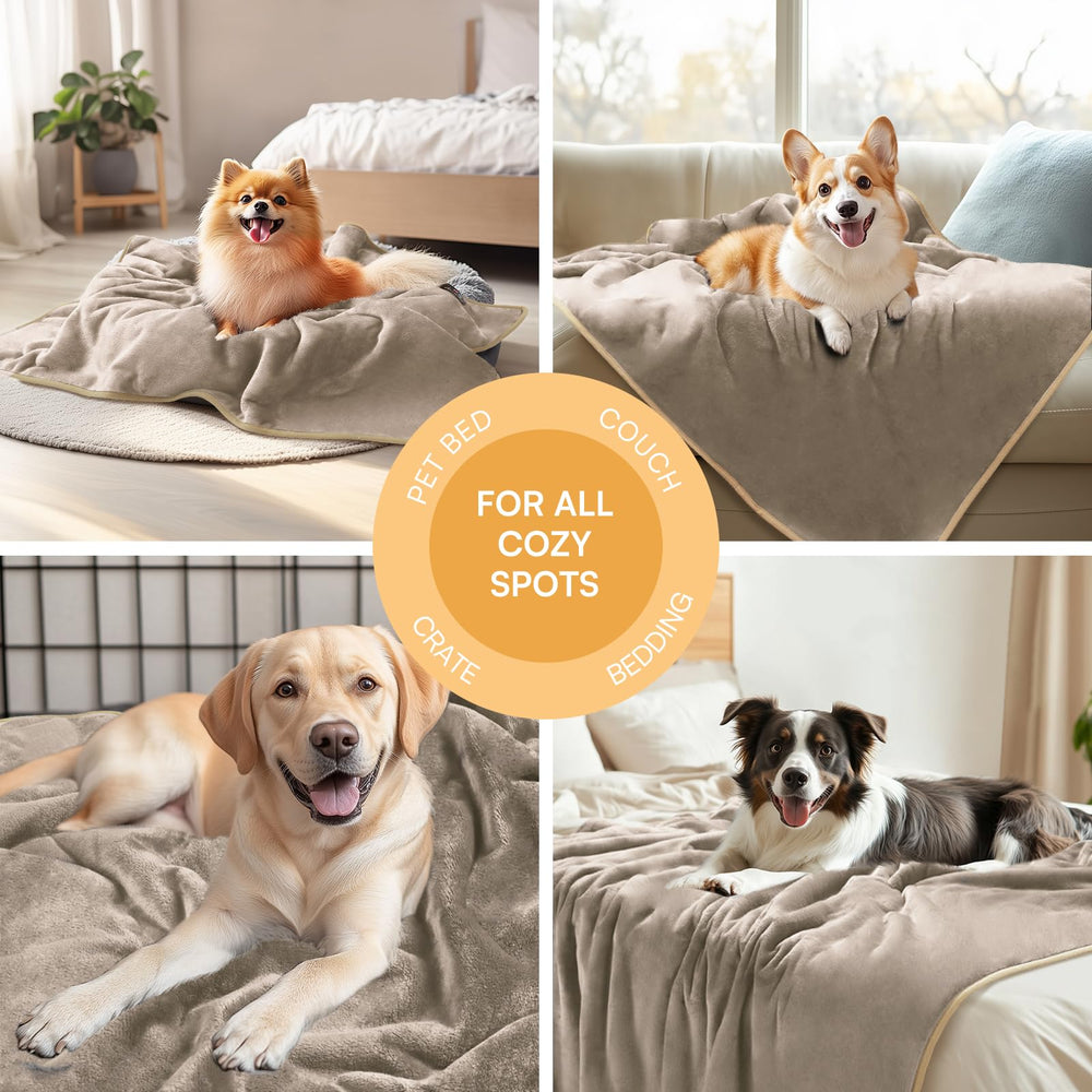 Luciphia Waterproof Pet Blanket sizes-collection available in S to XL for varied pets