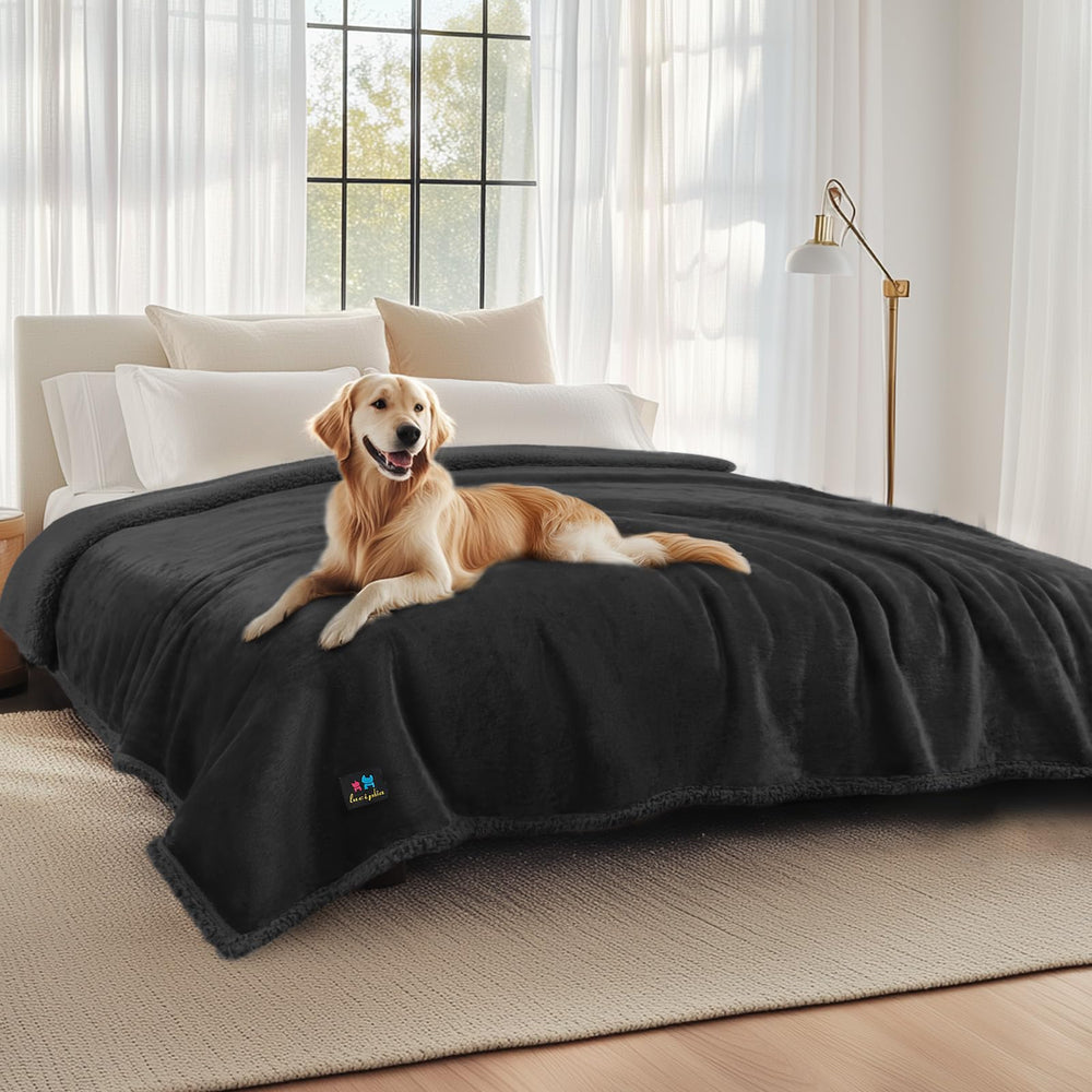 Luciphia waterproof pet blanket on sofa showing triple-layer protection against spills and accidents