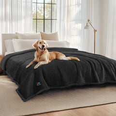 Luciphia waterproof pet blanket on sofa showing triple-layer protection against spills and accidents