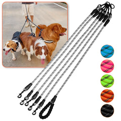 Luck Dawn five-dog-leash-360-swivel keeps five dogs untangled during walks