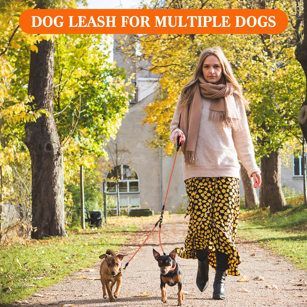 Luck Dawn multi-dog-leash-connection enables smooth transitions between dogs