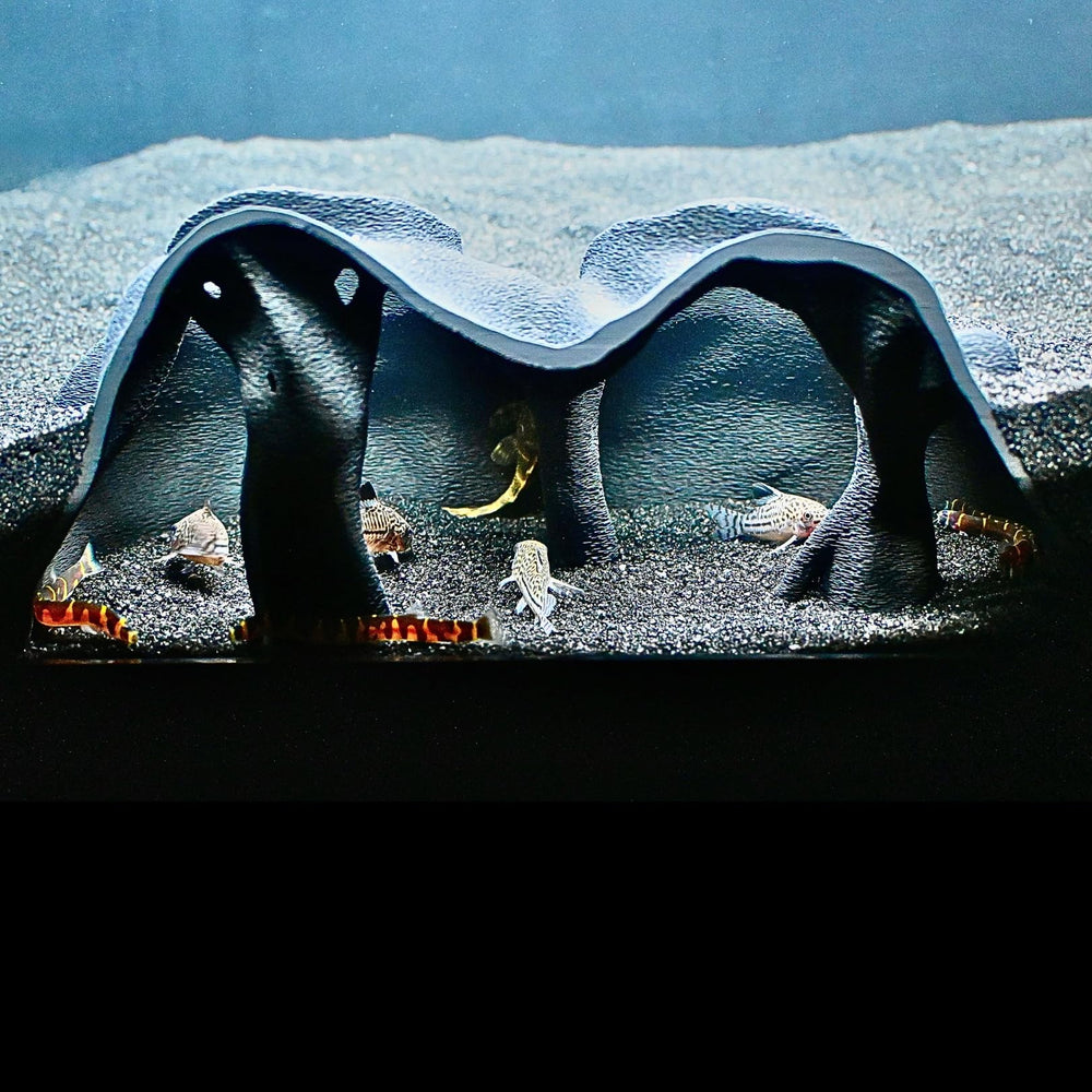 Lucky Critter Aquarium Underground Cave viewing experience with natural tunnel access.