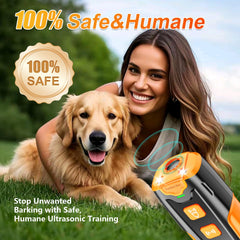 Lucken Bee ultrasonic training mode helps reduce barking during outdoor walks.