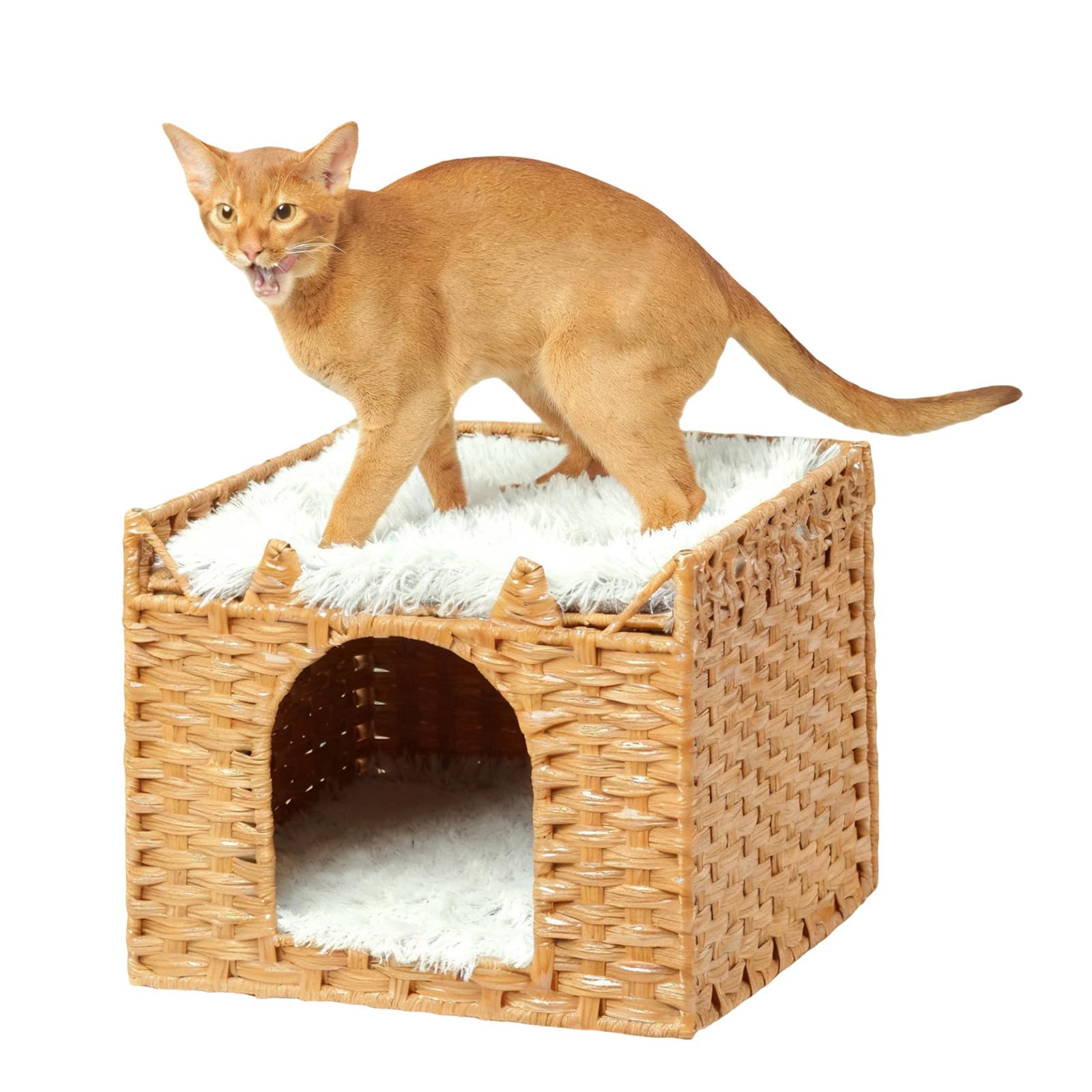 LUCKITTY breathable rattan shelter keeps airflow while cats observe their space.