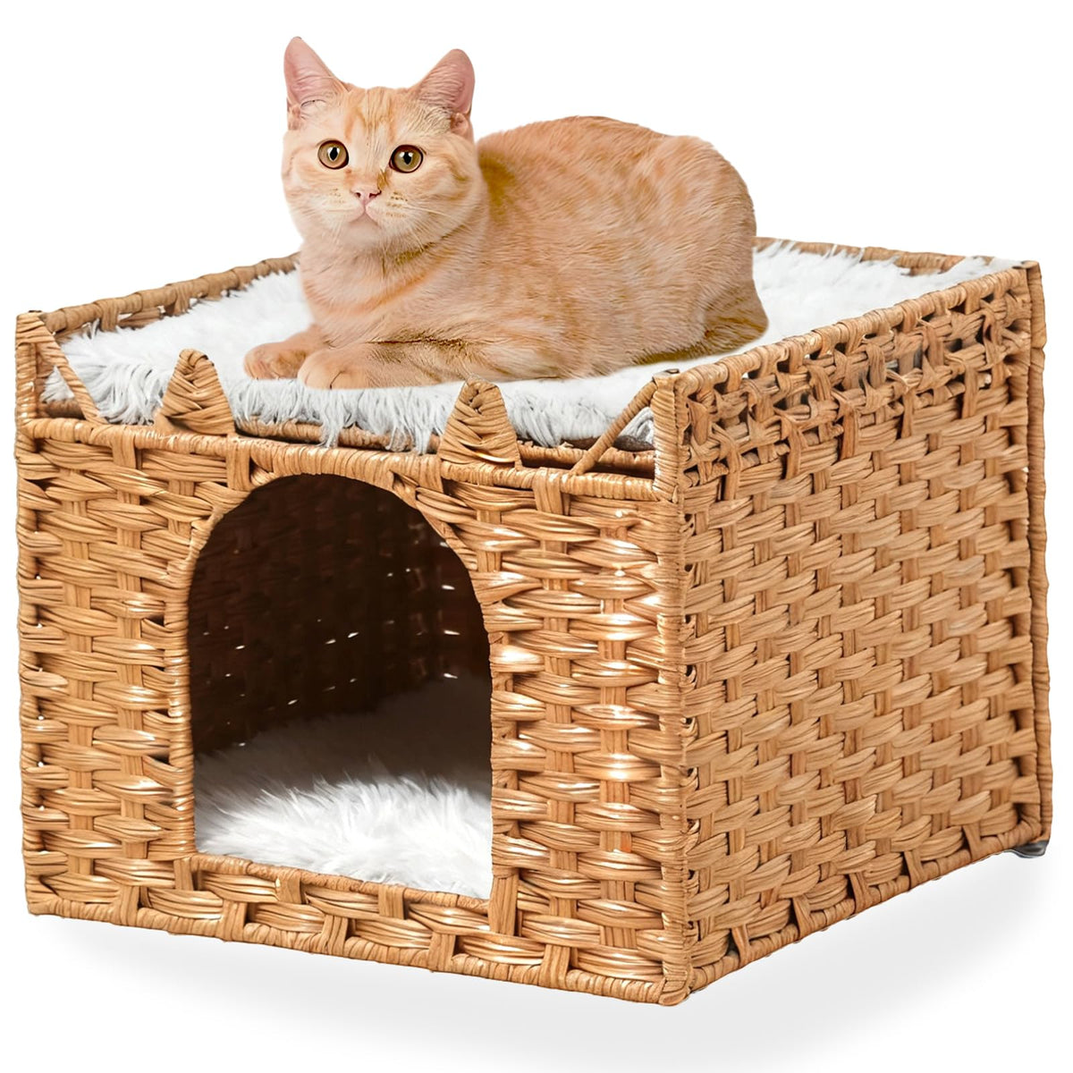 LUCKITTY Cat Bed with Ears offers a cozy hideaway for indoor kittens.