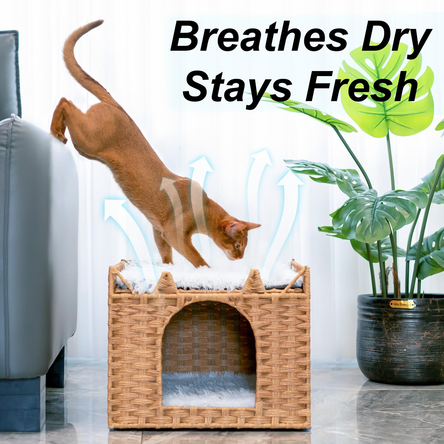 LUCKITTY removable cushions on top platform simplify cleaning and versatile lounging.