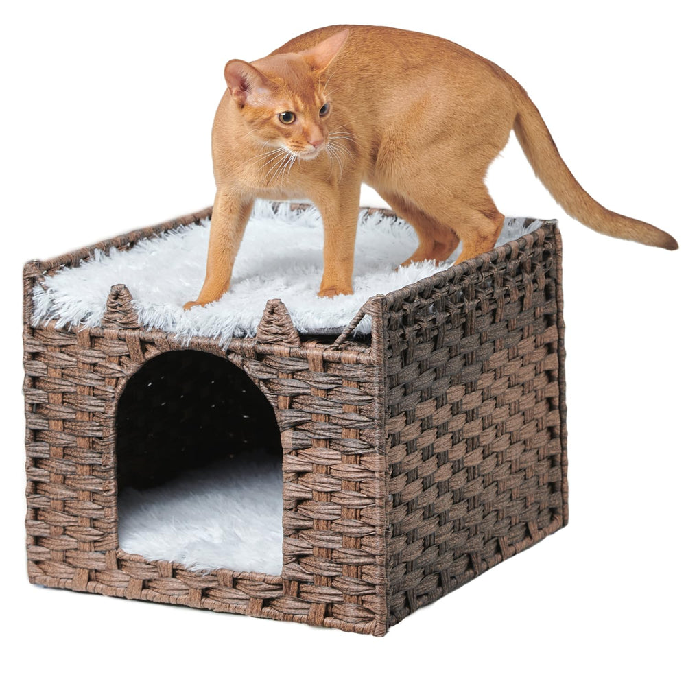Luckitty removable cushions with machine-washable covers for easy fur cleanup