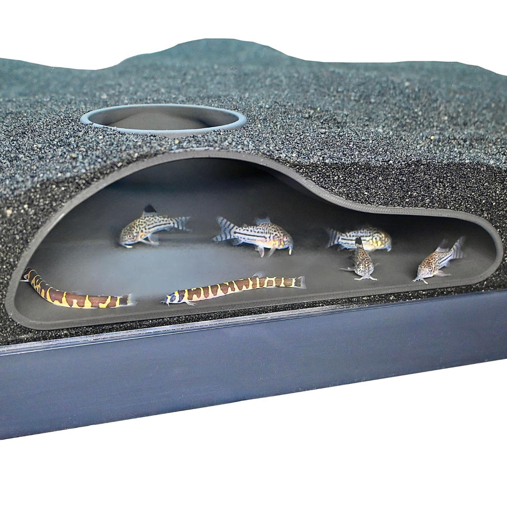 Lucky Critter aquarium underground tunnel cave curve provides a natural hiding spot and immersive viewing angle.