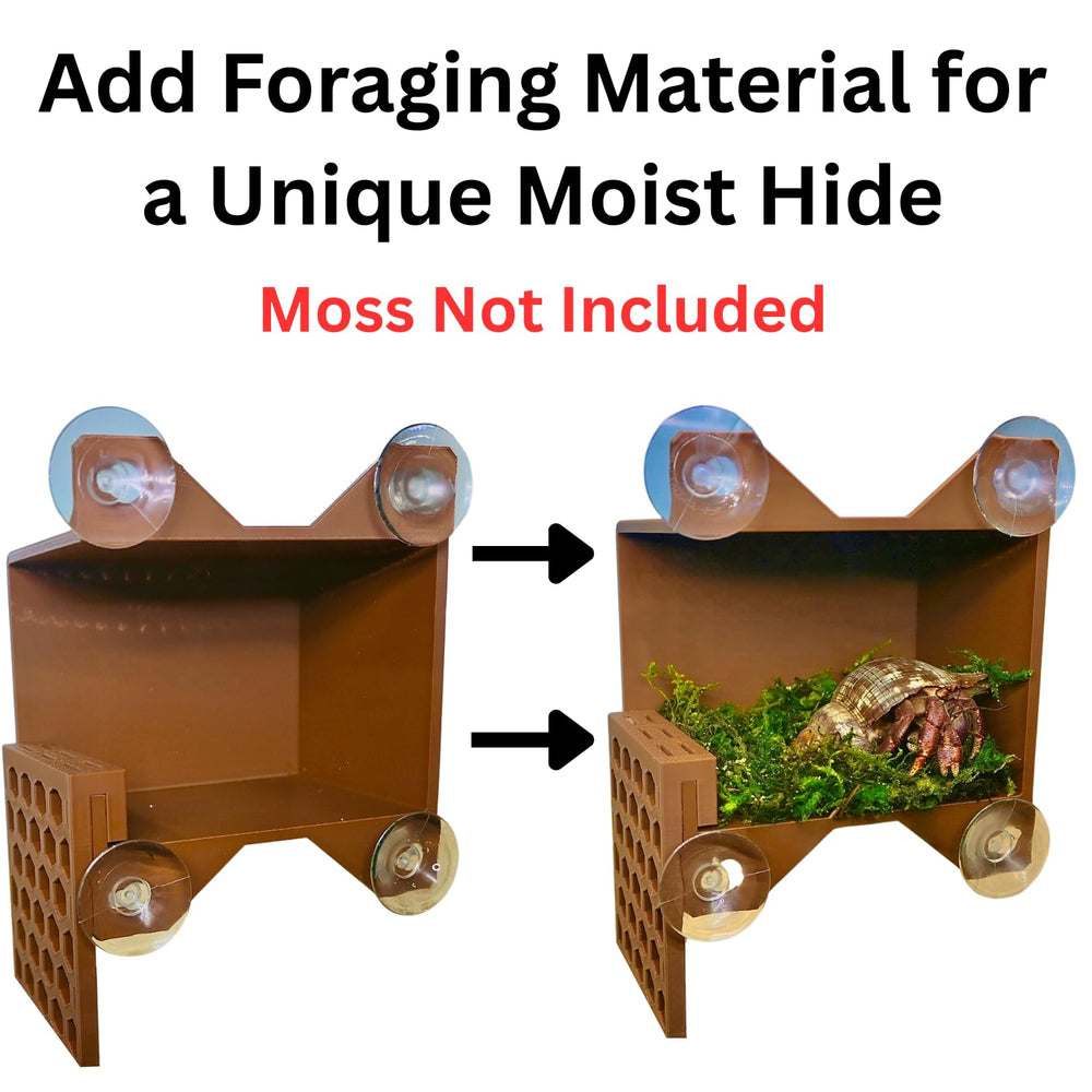Lucky Critter hermit-crab-ladder-front-angle showcases easy access for climbing.