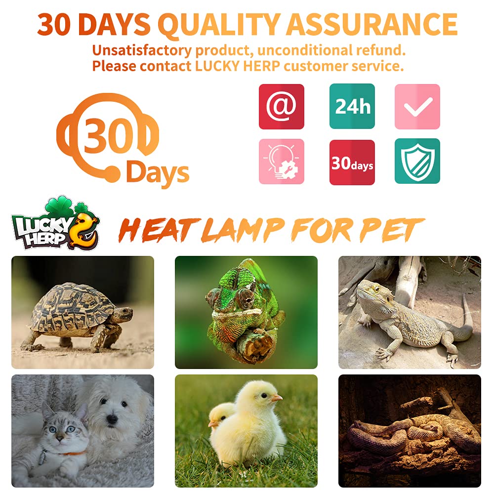 LUCKY HERP 150W ceramic heat emitter night-use setup suggests warm comfort for pets.