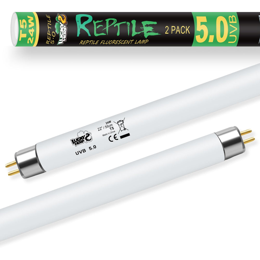 LUCKY HERP 2-pack T5 UVB-24W provides broad enclosure coverage for larger terrariums.