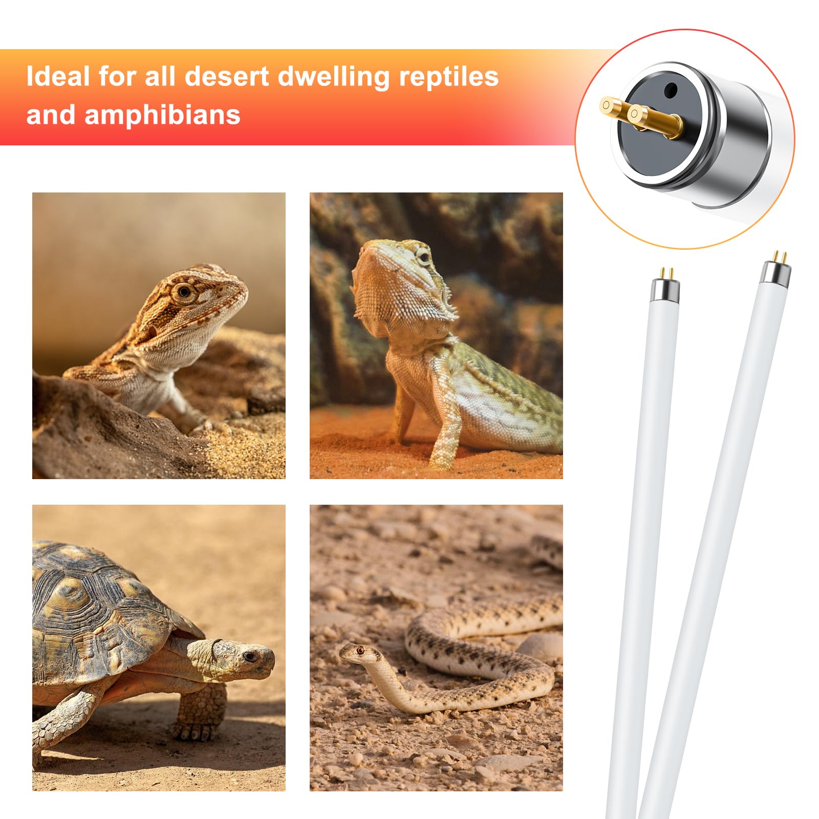 LUCKY HERP desert-reptile use ideal for bearded dragons lizards and tortoises