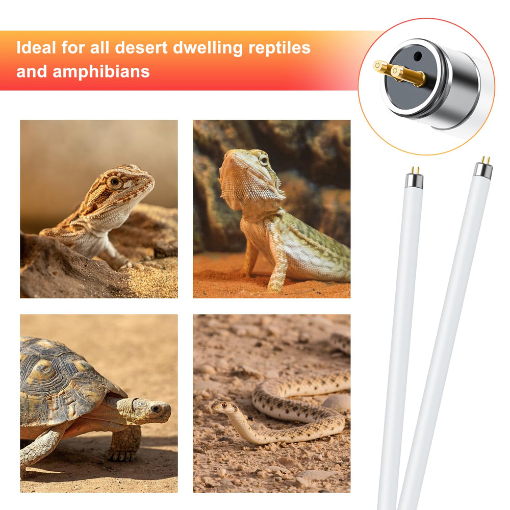 LUCKY HERP desert-reptile use ideal for bearded dragons lizards and tortoises