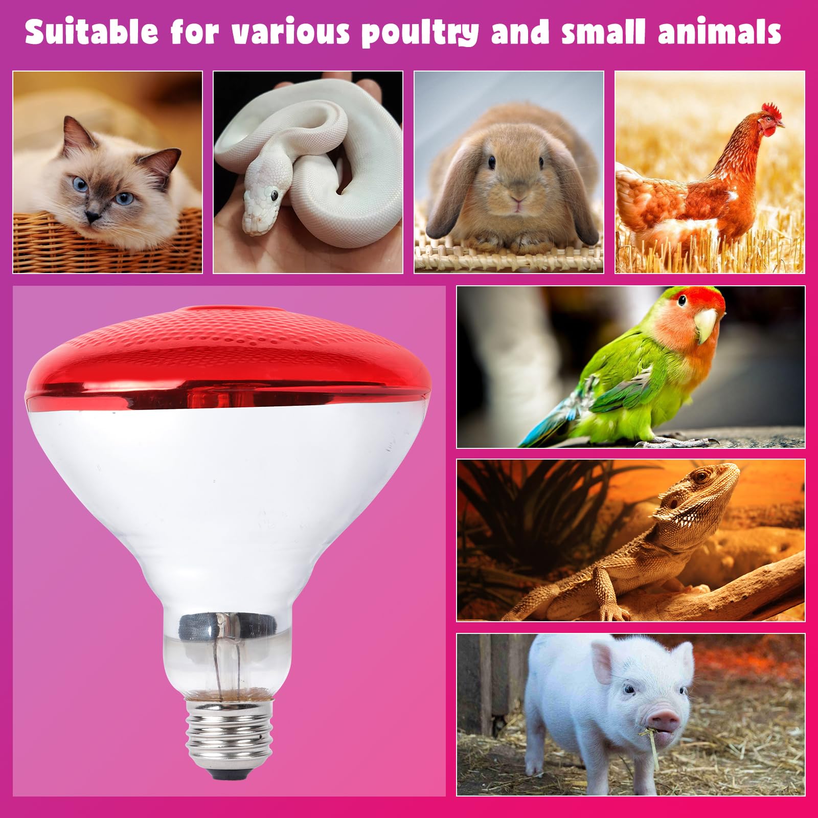 LUCKY HERP glass-based bulb with E26 base for easy replacement and compatibility.