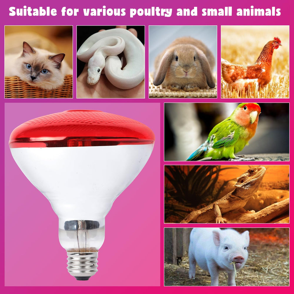 LUCKY HERP glass-based bulb with E26 base for easy replacement and compatibility.