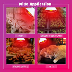 LUCKY HERP infrared heat lamp in reptile enclosure for stable temps