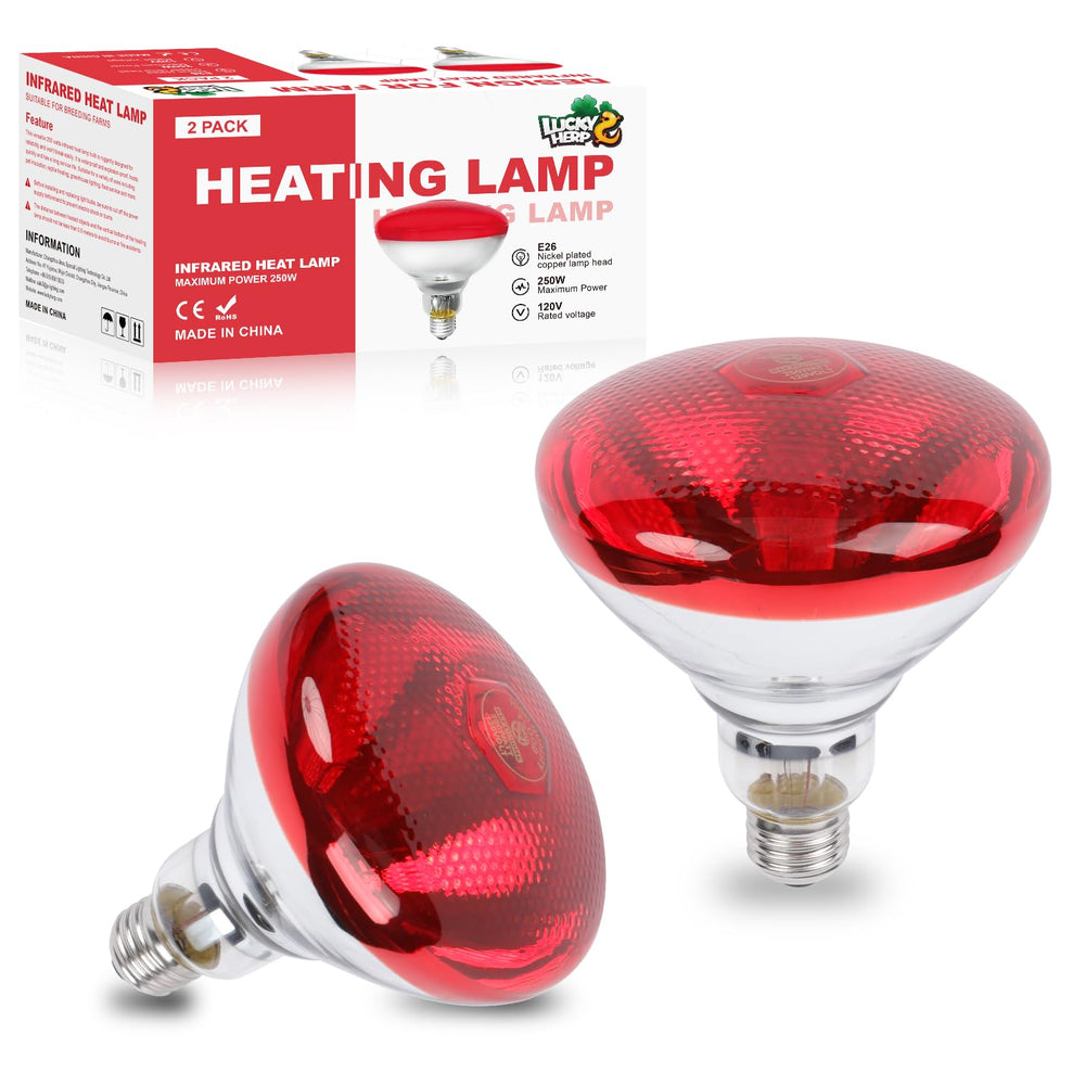 LUCKY HERP infrared heat lamp 250w in chick coop delivering warm, comfortable brooding atmosphere.