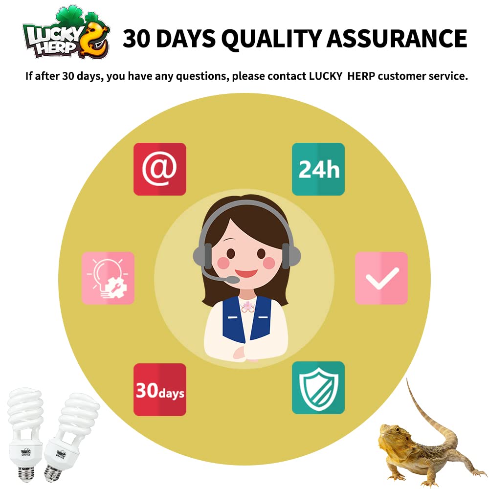 LUCKY HERP long-lasting UVB bulb pack enables continuous lighting for two terrariums.