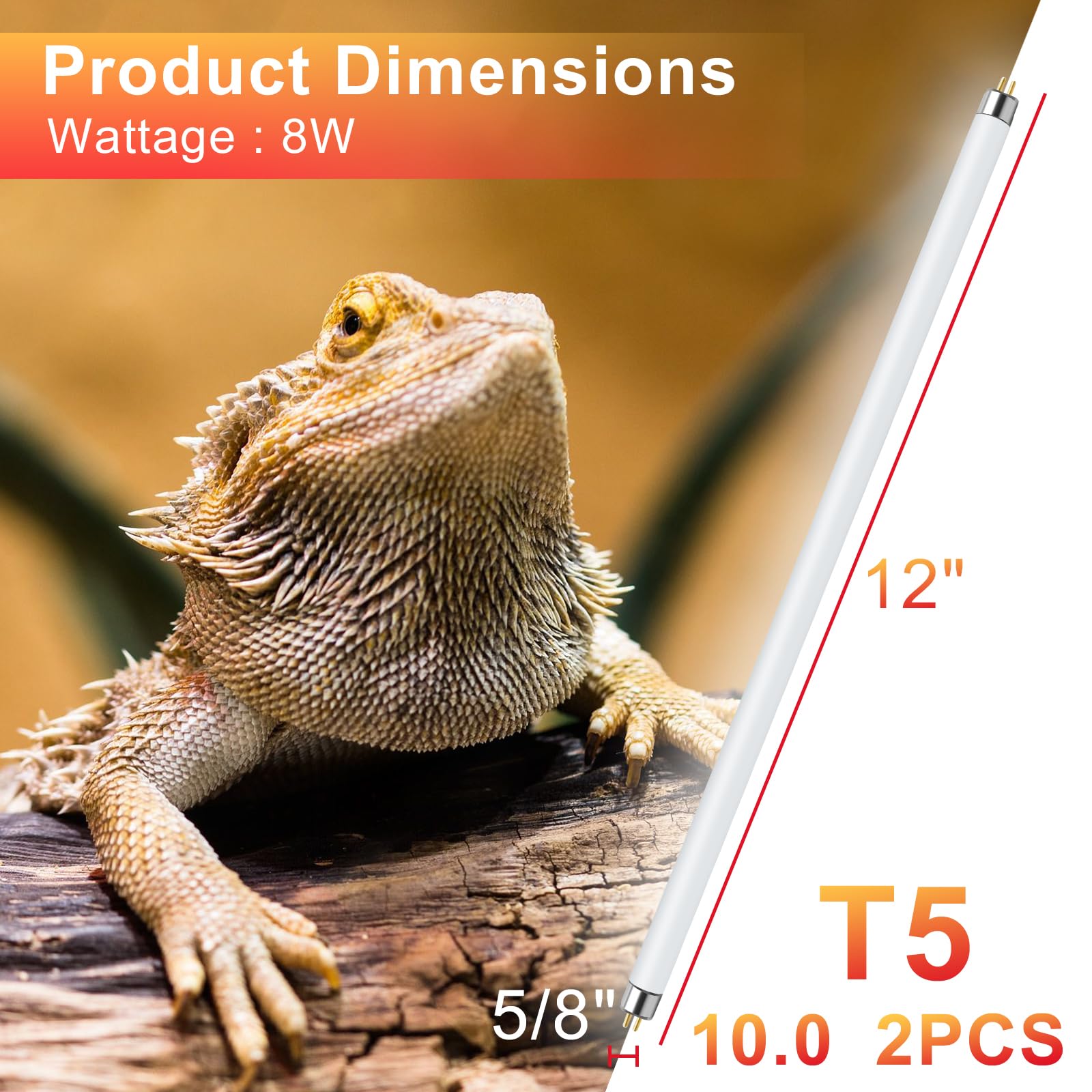 LUCKY HERP T5-UVB 10-0 lamp in-use, natural light simulation for healthier activity