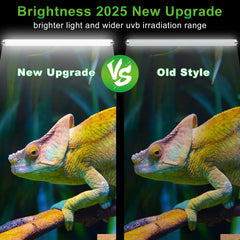 Lucky Herp T8 UVB5.0 bulb delivering brighter output for larger terrariums and even exposure.
