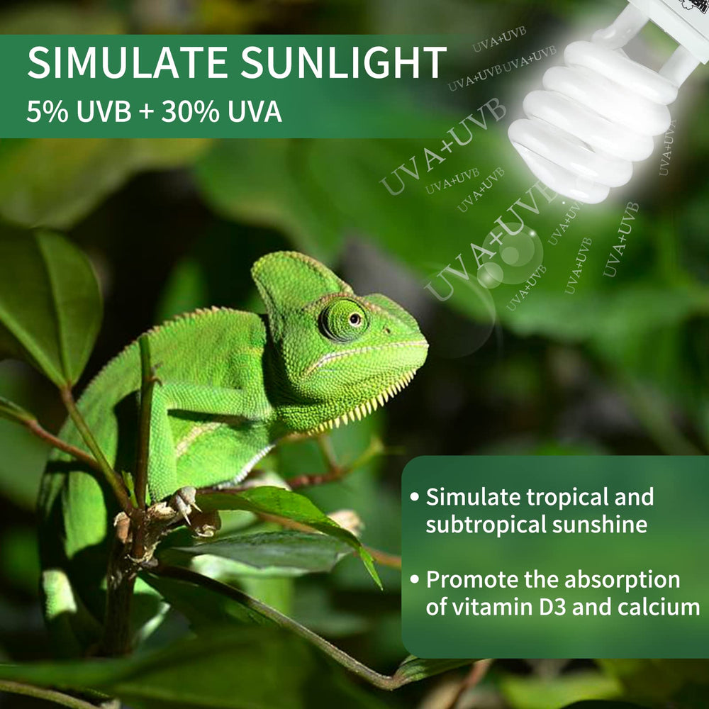 LUCKY HERP turtle-lizard-terrarium-setup illustrating safe distance and proper lighting