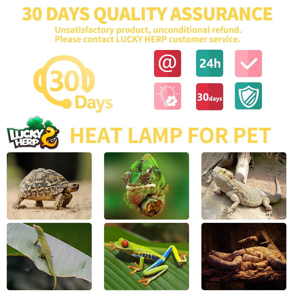LUCKY HERP two-pack provides reliable warmth for multiple enclosures