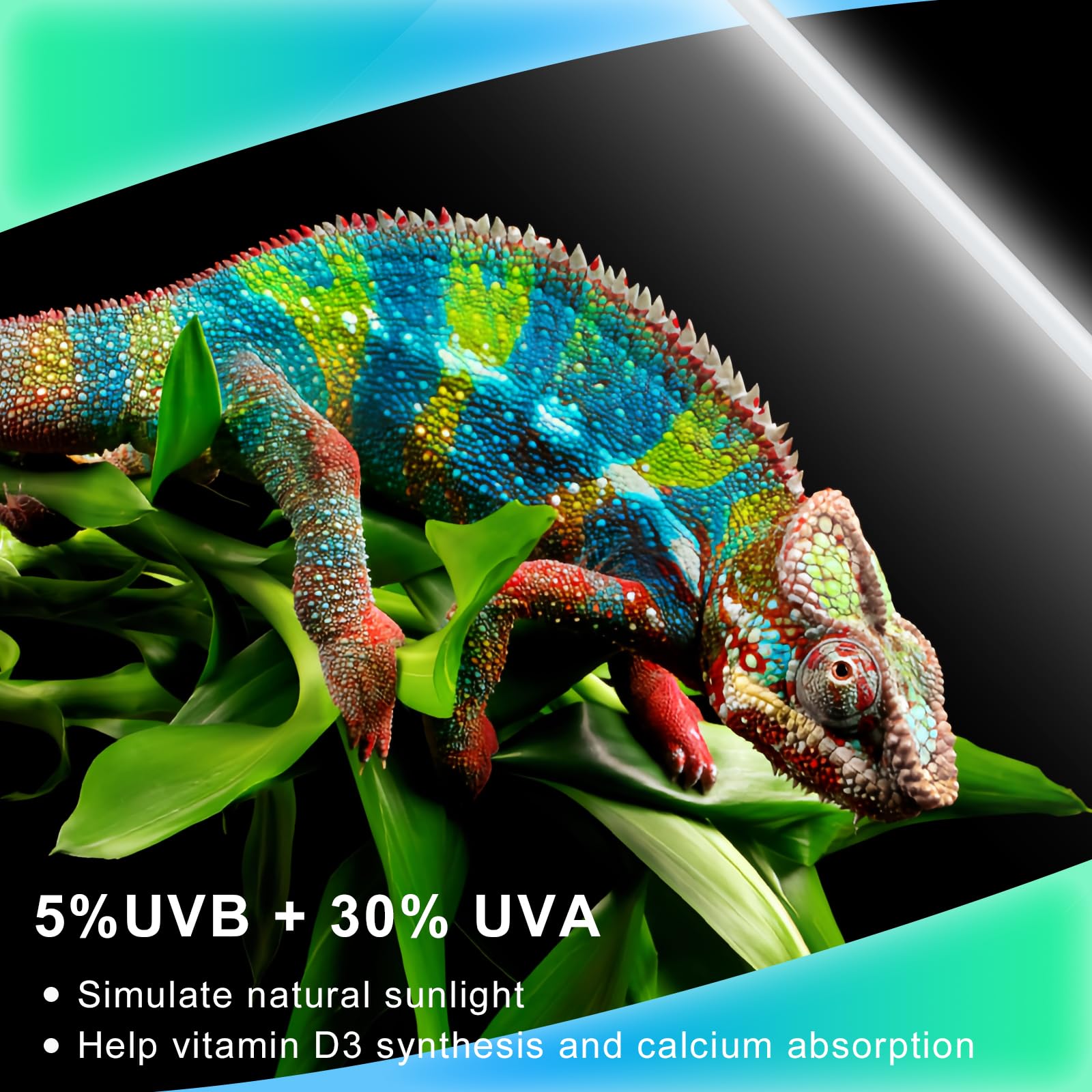 LUCKY HERP UVB 5.0 T5 supports diurnal rhythms and activity.