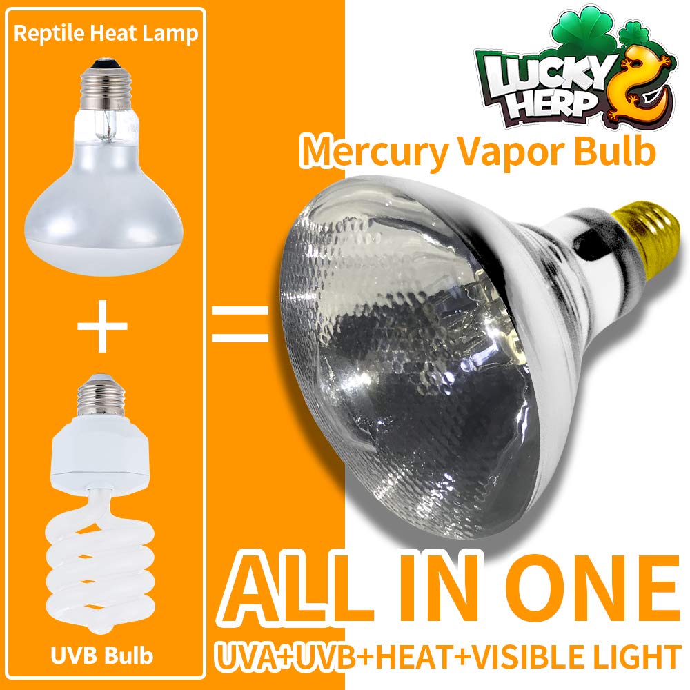 Lucky Herp UVB full-spectrum illumination simulates daylight for reptile behavior.