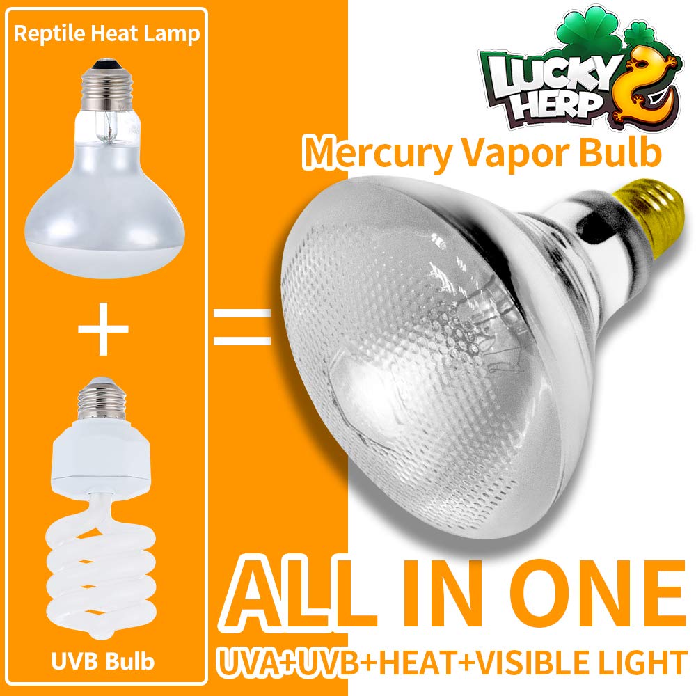 Lucky Herp UVB vapor heat lamp connected to an E26 socket for installation.