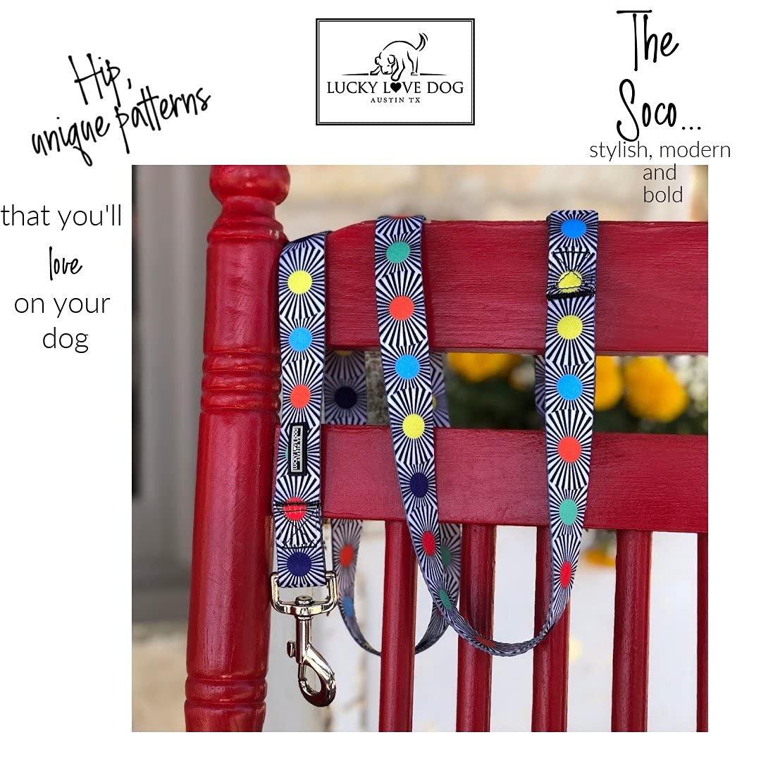 Lucky Love Dog 5ft leash small bright pattern for confident, controlled walks.