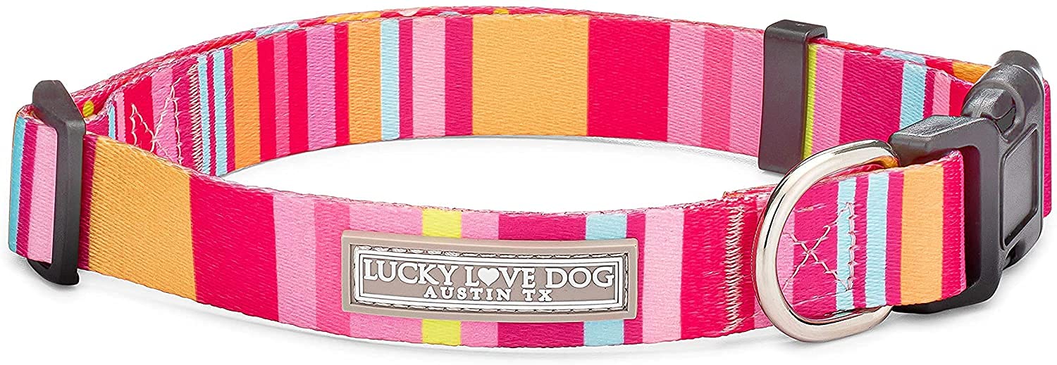 Lucky Love Dog adjustable collar small Molly—perfect for growing puppies and everyday walks.