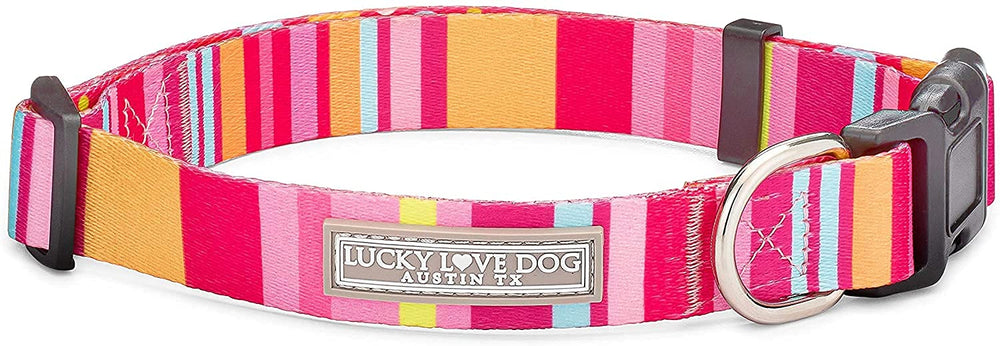 Lucky Love Dog adjustable collar small Molly—perfect for growing puppies and everyday walks.