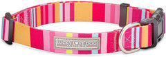 Lucky Love Dog adjustable collar small Molly—perfect for growing puppies and everyday walks.